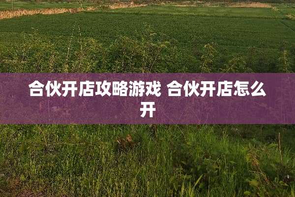 合伙开店攻略游戏 合伙开店怎么开