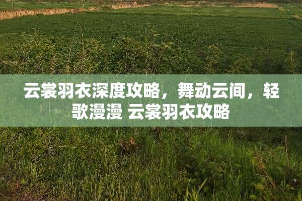 云裳羽衣深度攻略，舞动云间，轻歌漫漫 云裳羽衣攻略