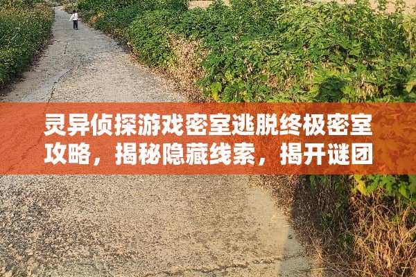 灵异侦探游戏密室逃脱终极密室攻略，揭秘隐藏线索，揭开谜团** 灵异侦探游戏密室攻略