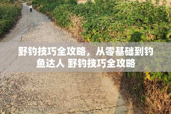野钓技巧全攻略，从零基础到钓鱼达人 野钓技巧全攻略