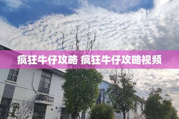 疯狂牛仔攻略 疯狂牛仔攻略视频