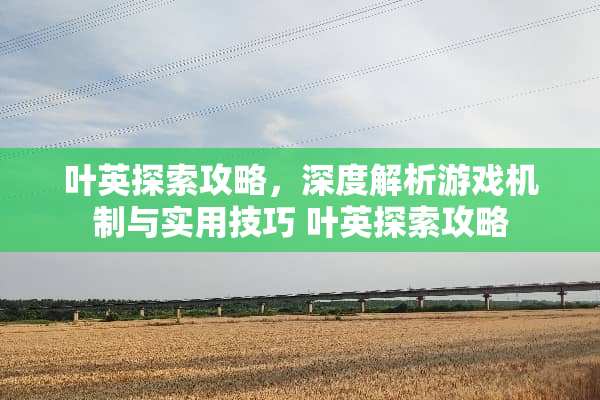 叶英探索攻略，深度解析游戏机制与实用技巧 叶英探索攻略