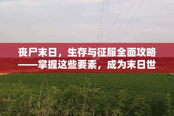 丧尸末日，生存与征服全面攻略——掌握这些要素，成为末日世界的霸主 丧尸之战攻略