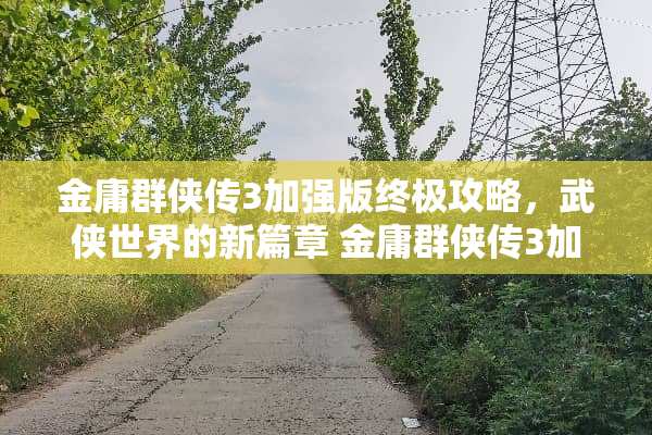 金庸群侠传3加强版终极攻略，武侠世界的新篇章 金庸群侠传3加强版攻略