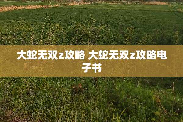 大蛇无双z攻略 大蛇无双z攻略电子书