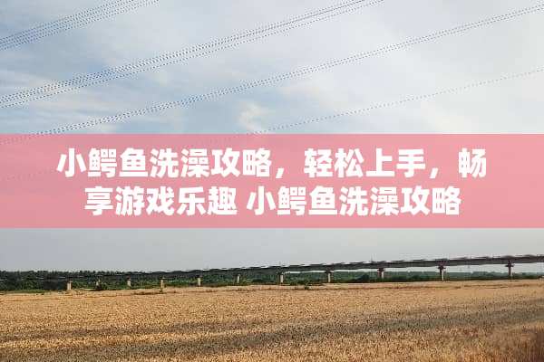 小鳄鱼洗澡攻略，轻松上手，畅享游戏乐趣 小鳄鱼洗澡攻略