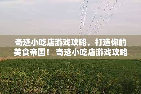 奇迹小吃店游戏攻略，打造你的美食帝国！ 奇迹小吃店游戏攻略