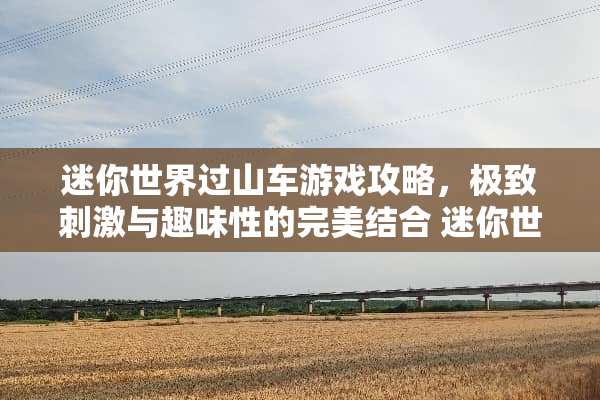 迷你世界过山车游戏攻略，极致**与趣味性的完美结合 迷你世界游戏攻略过山车