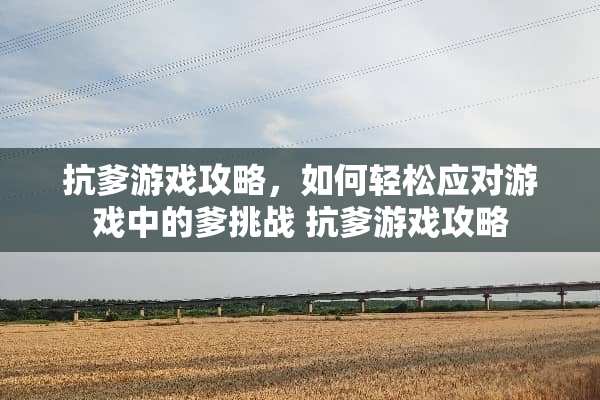 抗爹游戏攻略，如何轻松应对游戏中的爹挑战 抗爹游戏攻略