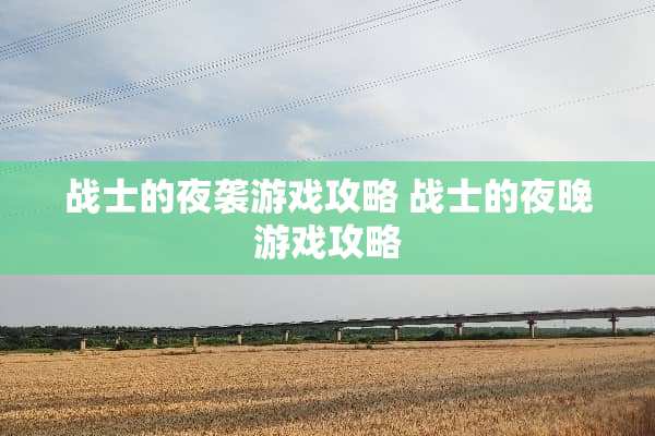 战士的夜袭游戏攻略 战士的夜晚游戏攻略