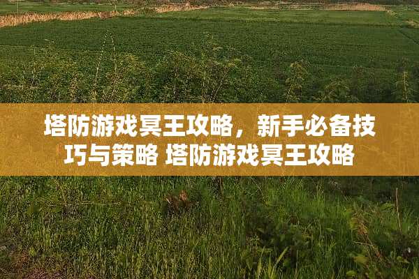 塔防游戏冥王攻略，新手必备技巧与策略 塔防游戏冥王攻略