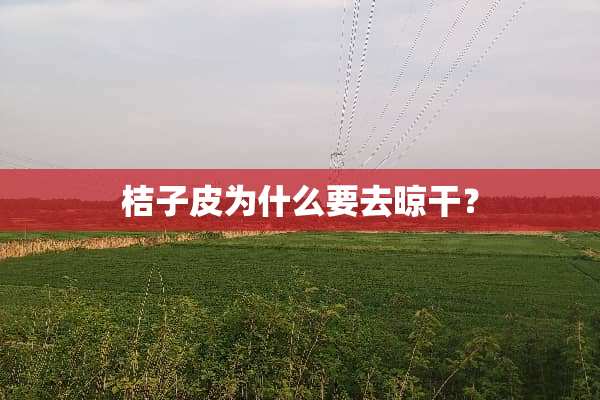 桔子皮为什么要去晾干？