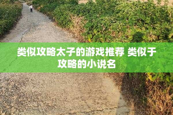 类似攻略太子的游戏推荐 类似于攻略的小说名