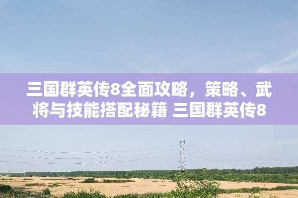 三国群英传8全面攻略，策略、武将与技能搭配秘籍 三国群英传8攻略
