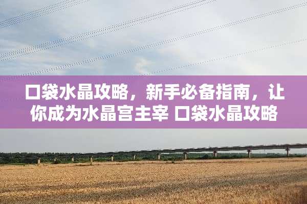 口袋水晶攻略，新手必备指南，让你成为水晶宫主宰 口袋水晶攻略