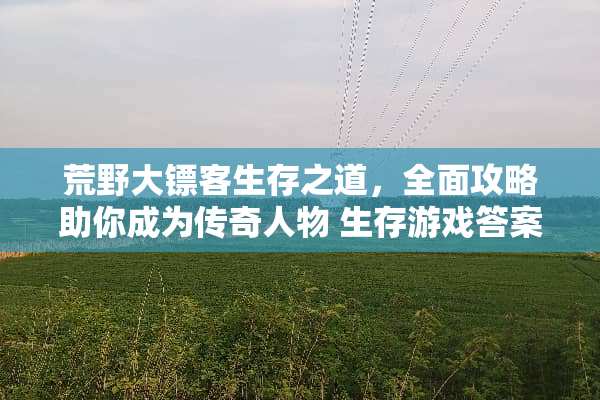 荒野大镖客生存之道，全面攻略助你成为传奇人物 生存游戏答案攻略