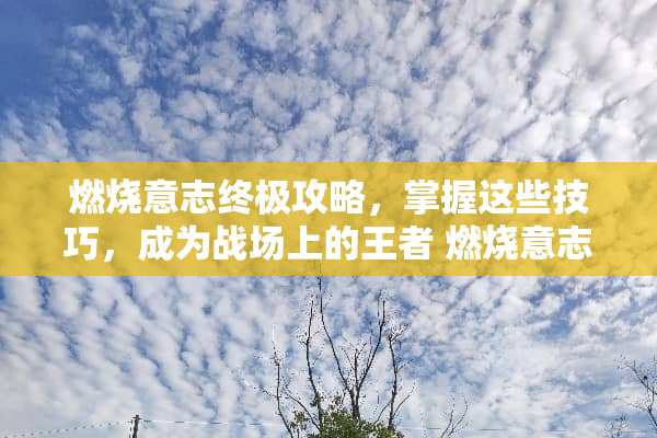 燃烧意志终极攻略，掌握这些技巧，成为战场上的王者 燃烧意志攻略