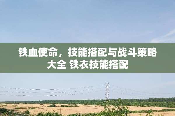 铁血使命，技能搭配与战斗策略大全 铁衣技能搭配
