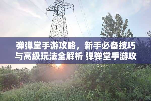 弹弹堂手游攻略，新手必备技巧与高级玩法全解析 弹弹堂手游攻略