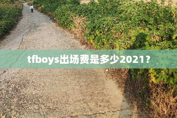 tfboys出场费是多少2021？