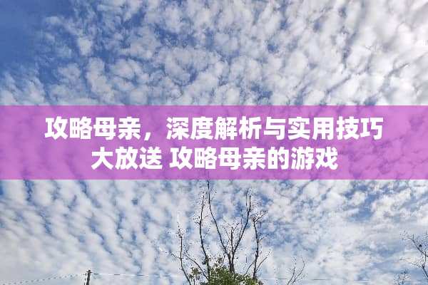 攻略母亲，深度解析与实用技巧大放送 攻略母亲的游戏