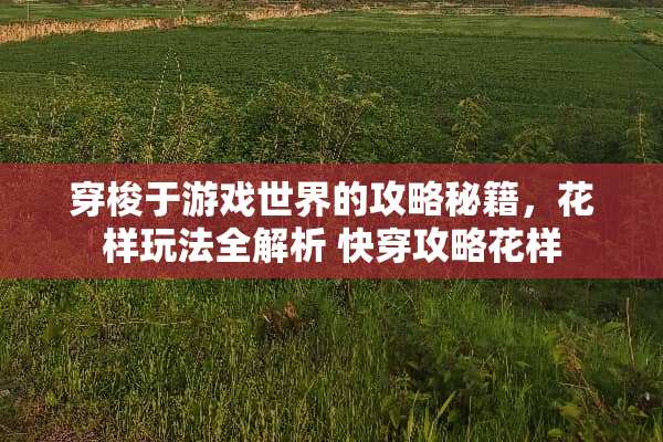 穿梭于游戏世界的攻略秘籍，花样玩法全解析 快穿攻略花样