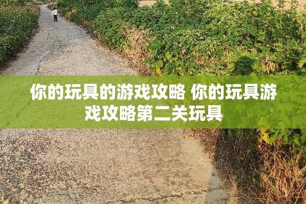 你的玩具的游戏攻略 你的玩具游戏攻略第二关玩具