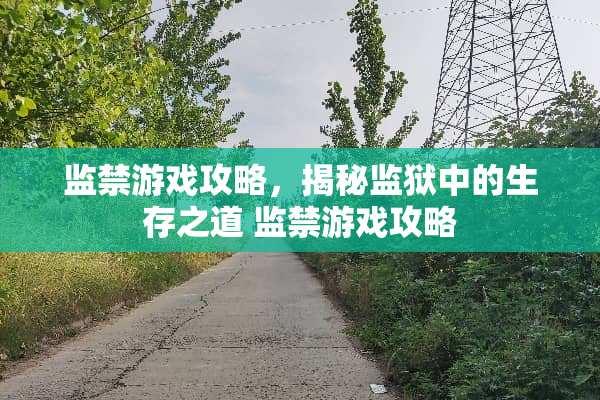 监禁游戏攻略，揭秘监狱中的生存之道 监禁游戏攻略