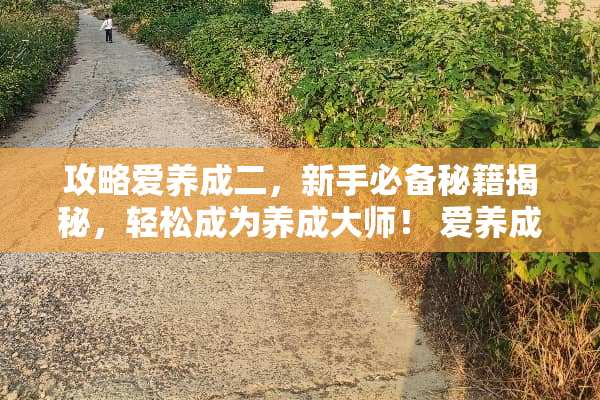 攻略爱养成二，新手必备秘籍揭秘，轻松成为养成大师！ 爱养成二攻略