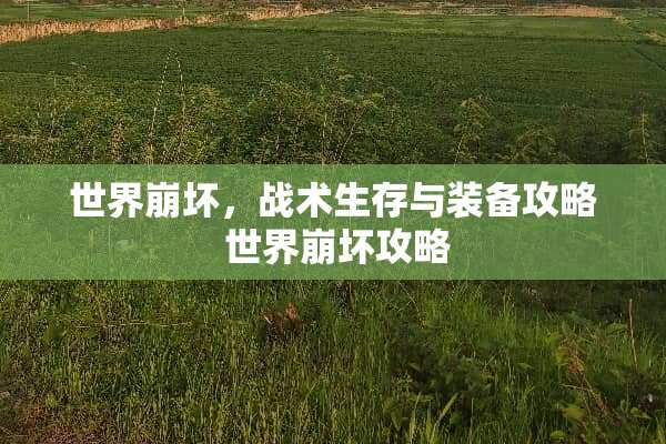 世界崩坏，战术生存与装备攻略 世界崩坏攻略