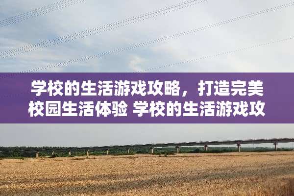 学校的生活游戏攻略，打造完美校园生**验 学校的生活游戏攻略