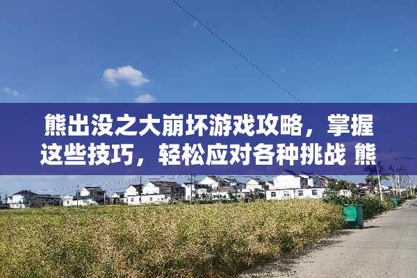 熊出没之大崩坏游戏攻略，掌握这些技巧，轻松应对各种挑战 熊出没之大崩坏游戏攻略