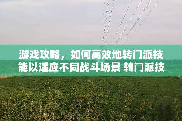 游戏攻略，如何高效地转门派技能以适应不同战斗场景 转门派技能对应