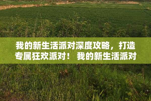 我的新生活派对深度攻略，打造专属狂欢派对！ 我的新生活派对攻略