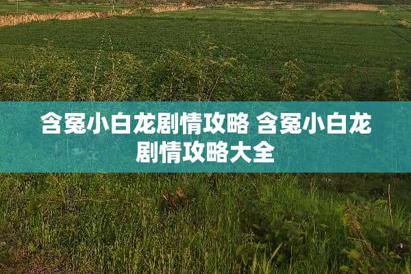 含冤小白龙剧情攻略 含冤小白龙剧情攻略大全