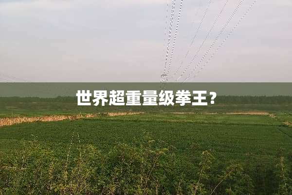 世界超重量级拳王？