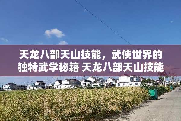 天龙八部天山技能，武侠世界的独特武学秘籍 天龙八部天山技能