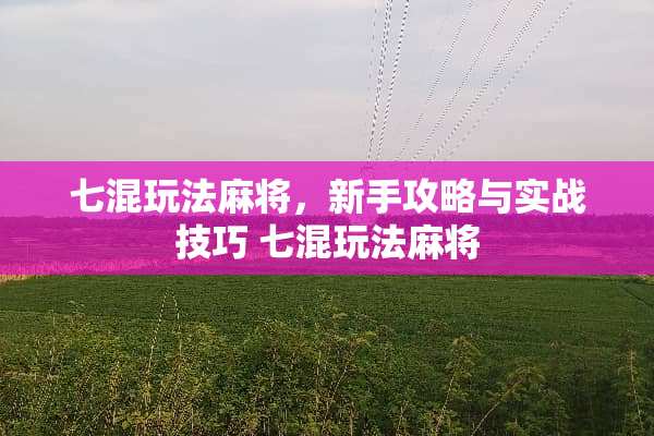 七混玩法**，新手攻略与实战技巧 七混玩法**