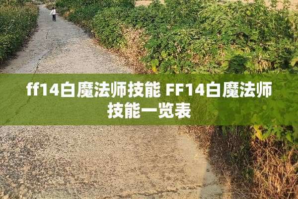 ff14白魔法师技能 FF14白魔法师技能一览表