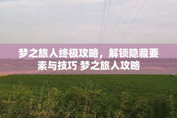 梦之旅人终极攻略，解锁隐藏要素与技巧 梦之旅人攻略