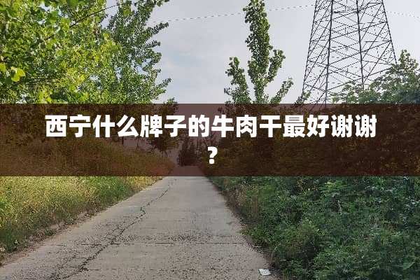 西宁什么牌子的牛肉干最好谢谢？