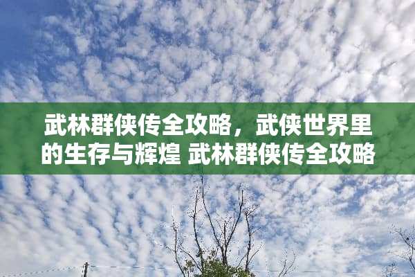 武林群侠传全攻略，武侠世界里的生存与辉煌 武林群侠传全攻略
