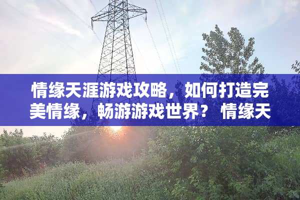 情缘天涯游戏攻略，如何打造完美情缘，畅游游戏世界？ 情缘天涯游戏攻略