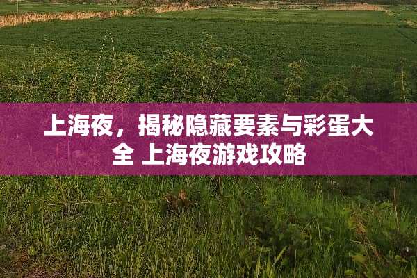 上海夜，揭秘隐藏要素与彩蛋大全 上海夜游戏攻略