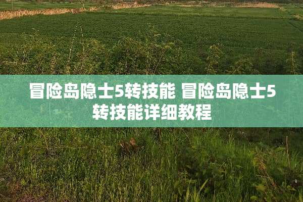 冒险岛隐士5转技能 冒险岛隐士5转技能详细教程