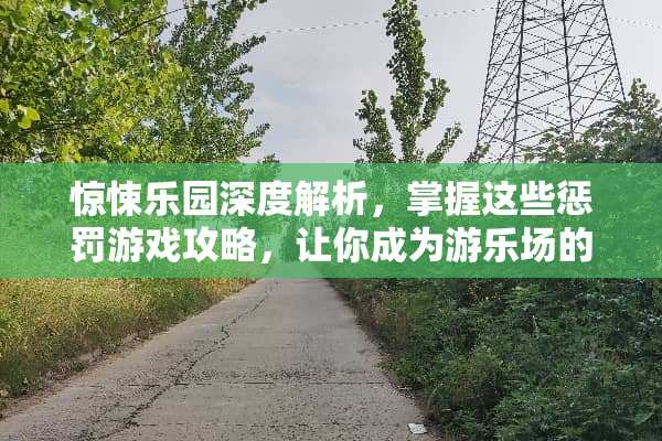 惊悚乐园深度解析，掌握这些惩罚游戏攻略，让你成为游乐场的主宰！ 惊悚乐园惩罚游戏攻略
