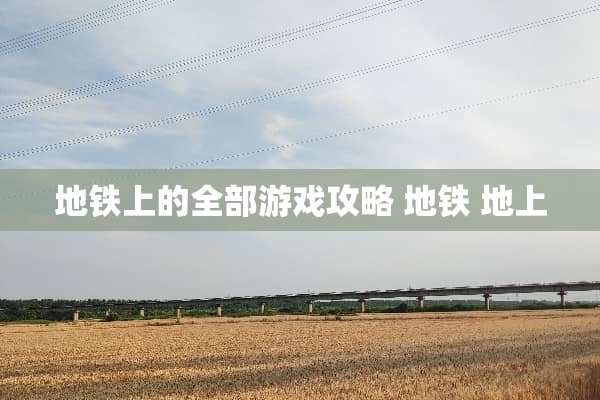 地铁上的全部游戏攻略 地铁 地上