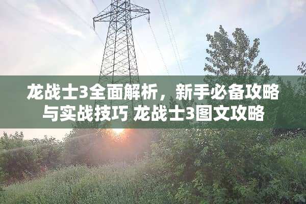 龙战士3全面解析，新手必备攻略与实战技巧 龙战士3图文攻略