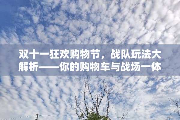 双十一狂欢购物节，战队玩法大解析——你的购物车与战场一体化体验！ 双十一战队玩法