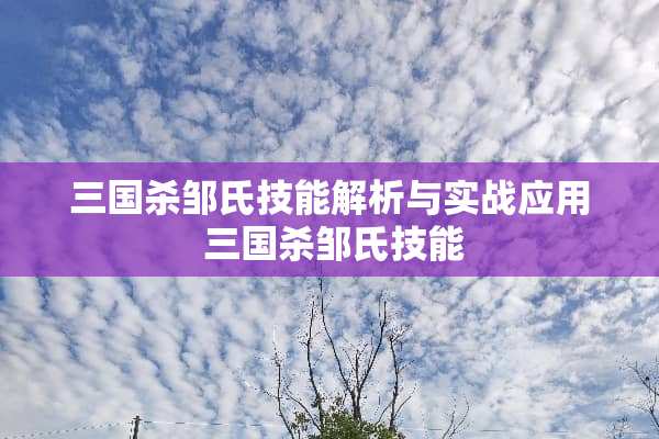 三国杀邹氏技能解析与实战应用 三国杀邹氏技能